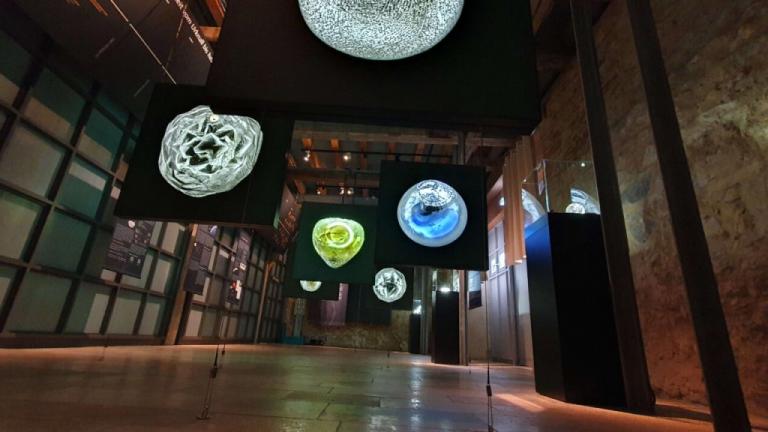 Ausstellung Mikrometeoriten RiesKraterMuseum